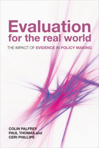 Buch Evaluation for the Real World Colin Palfrey