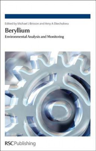 Boek Beryllium Mike J. Brisson