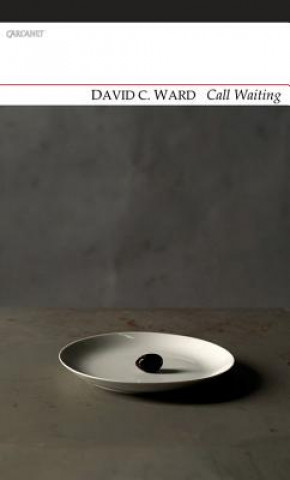 Knjiga Call Waiting David C. Ward
