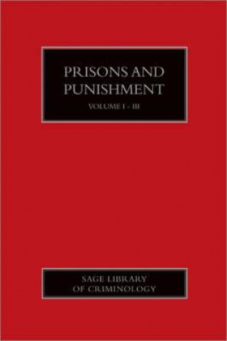 Libro Prisons and Punishment 