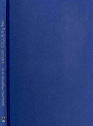 Boek Doing Social Work Research Aidan Worsley