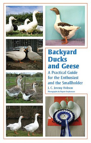 Kniha Backyard Ducks and Geese J. C. Jeremy Hobson