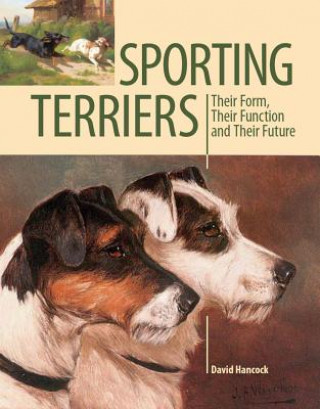 Carte Sporting Terriers David Hancock