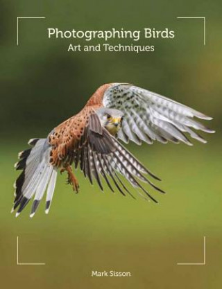 Kniha Photographing Birds Mark Sisson