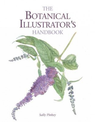 Kniha Botanical Illustrator's Handbook Sally Pinhey