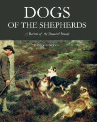 Kniha Dogs of the Shepherds David Hancock