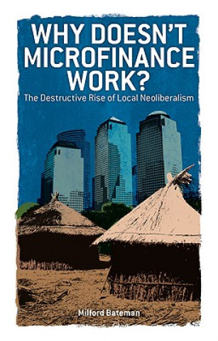 Kniha Why Doesn't Microfinance Work? Milford Bateman