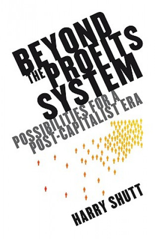 Kniha Beyond the Profits System Harry Shutt