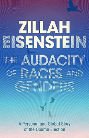 Buch Audacity of Races and Genders Zillah R. Eisenstein