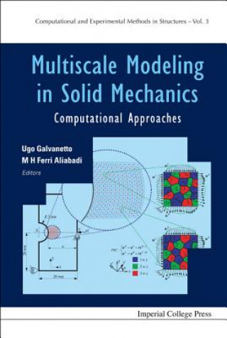 Książka Multiscale Modeling In Solid Mechanics: Computational Approaches M H Ferri Aliabadi