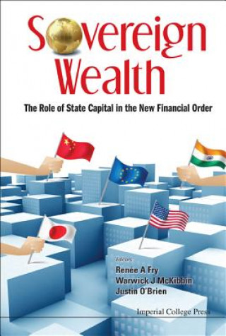 Kniha Sovereign Wealth: The Role Of State Capital In The New Financial Order Renee A. Fry