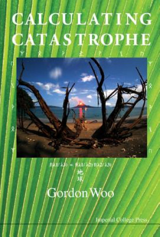 Kniha Calculating Catastrophe Gordon Woo