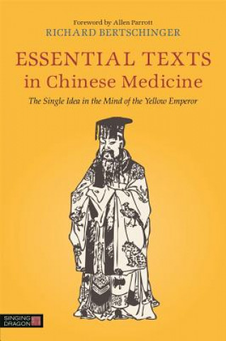 Könyv Essential Texts in Chinese Medicine Richard Bertschinger