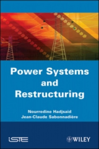 Książka Power Systems and Restructuring Nouredine Hadjsaid
