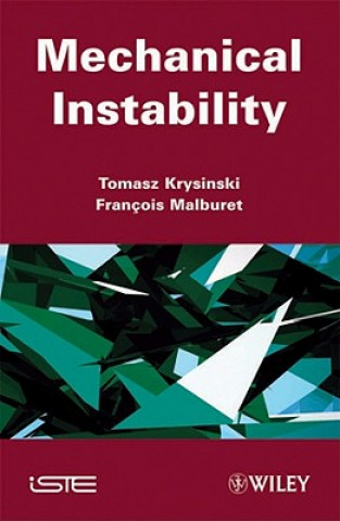 Könyv Mechanical Instability Tomasz Krysinski