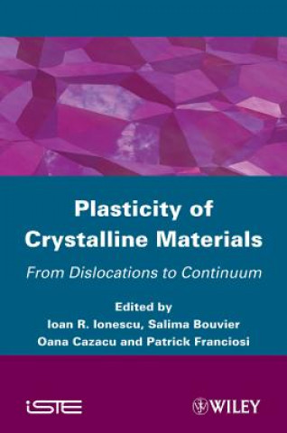Könyv Plasticity of Crystalline Materials - From Dislocations to Continuum Ioan Ionescu