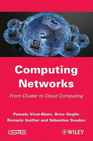 Knjiga Cluster and Computing Networks Pascale Vicat-Blanc