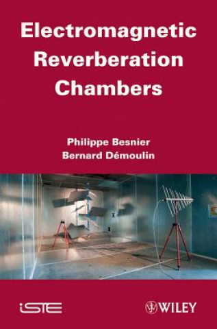 Könyv Electromagnetic Reverberation Chambers Philippe Besnier