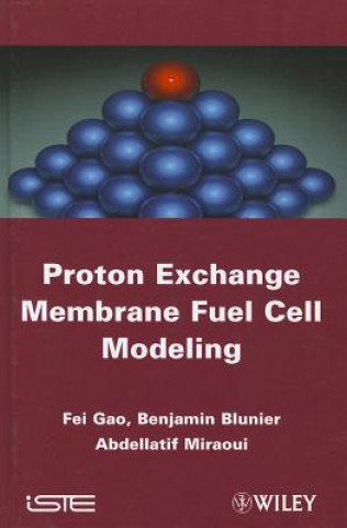 Book Proton Exchange Membrane Fuel Cells Modeling Fengge Gao