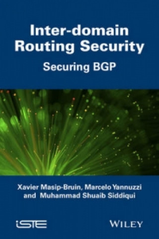 Book Inter Domain Routing Security Xavier Masip-Bruin