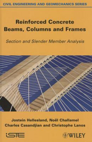 Buch Reinforced Concrete Beams, Columns and Frames Jostein Hellesland