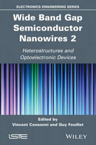 Livre Wide Band Gap Semiconductor Nanowires for Optical Devices Vincent Consonni