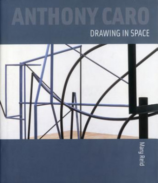 Buch Anthony Caro: Drawing in Space Mary Reid