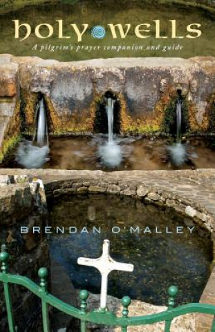 Kniha Holy Wells Brendan O'Malley