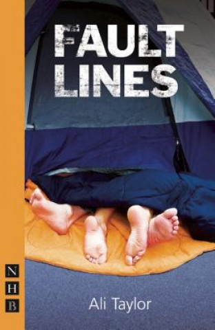 Carte Fault Lines Ali Taylor