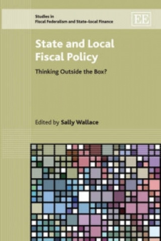 Kniha State and Local Fiscal Policy 