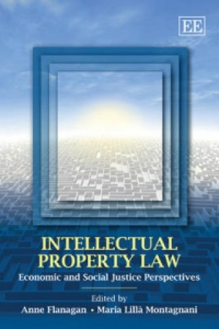 Kniha Intellectual Property Law 