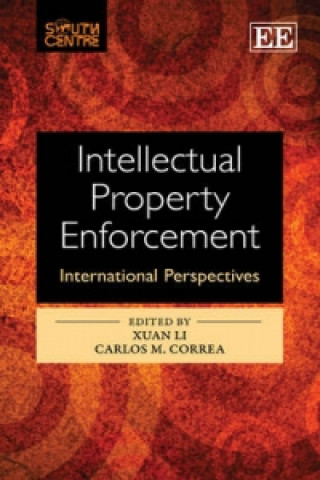 Kniha Intellectual Property Enforcement 