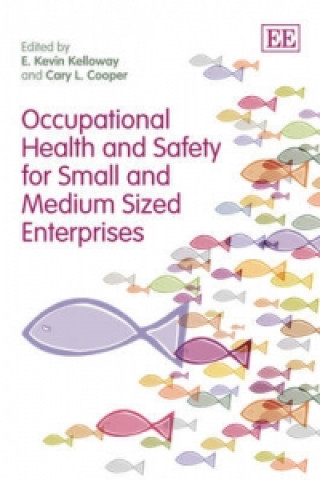 Kniha Occupational Health and Safety for Small and Medium Sized Enterprises 