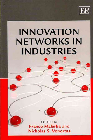 Kniha Innovation Networks in Industries 