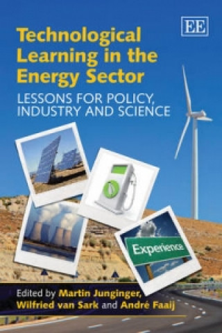 Könyv Technological Learning in the Energy Sector 