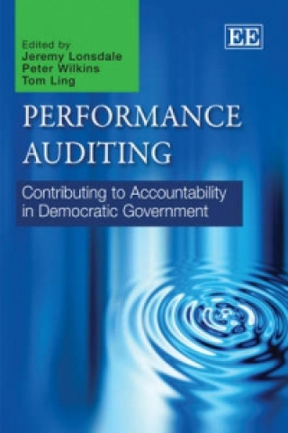 Kniha Performance Auditing 