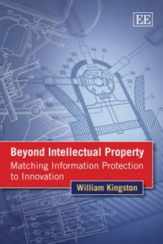 Kniha Beyond Intellectual Property William Kingston