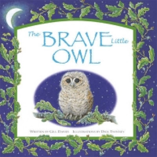 Kniha Brave Little Owl Davies Gill