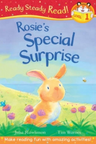 Kniha Rosie's Special Surprise Julia Rawlinson