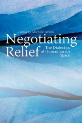 Könyv Negotiating Relief Michele Acuto