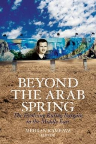 Kniha Beyond the Arab Spring 