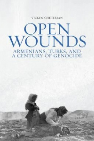 Book Open Wounds Vicken Cheterian