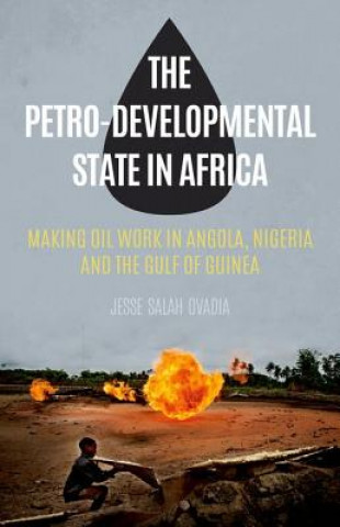 Kniha Petro-Developmental State in Africa Jesse Salah Ovadia