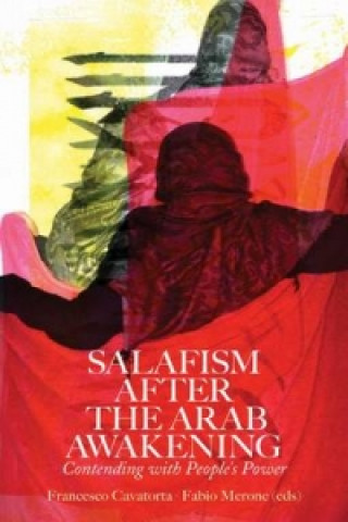 Kniha Salafism After the Arab Awakening Francesco Cavatorta