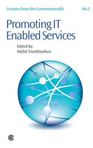 Knjiga Promoting IT Enabled Services Nikhil Treebhoohun