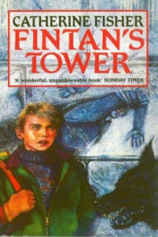 Kniha Fintan's Tower Catherine Fisher
