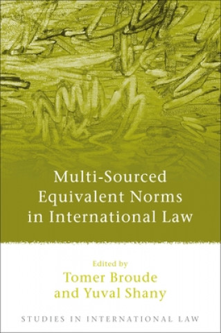 Könyv Multi-Sourced Equivalent Norms in International Law 