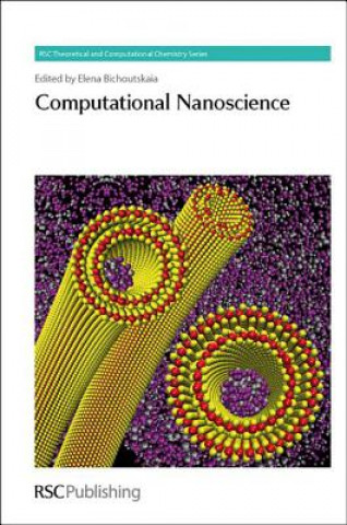 Könyv Computational Nanoscience 