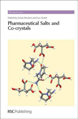 Kniha Pharmaceutical Salts and Co-crystals Johan Wouters