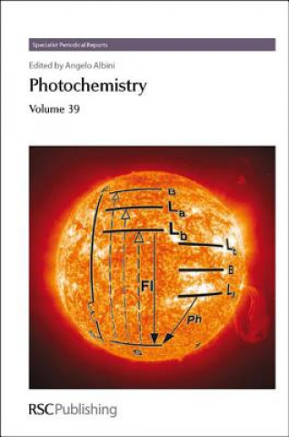 Kniha Photochemistry 